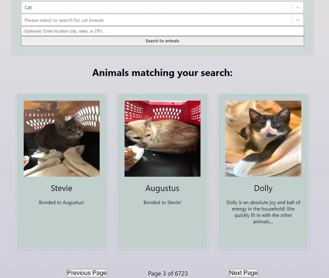 Adopt A Pet search result